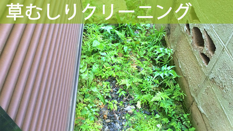 草むしりクリーニング